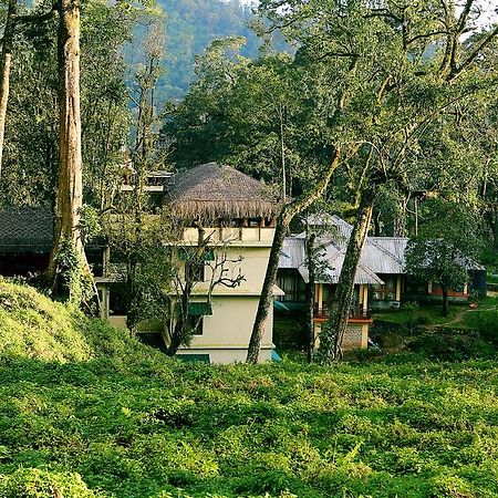 Deep Woods Resort Munnar Bilik gambar
