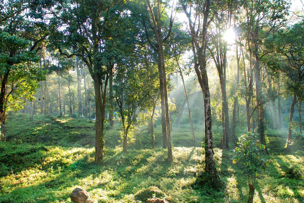 Deep Woods Resort Munnar Luaran gambar