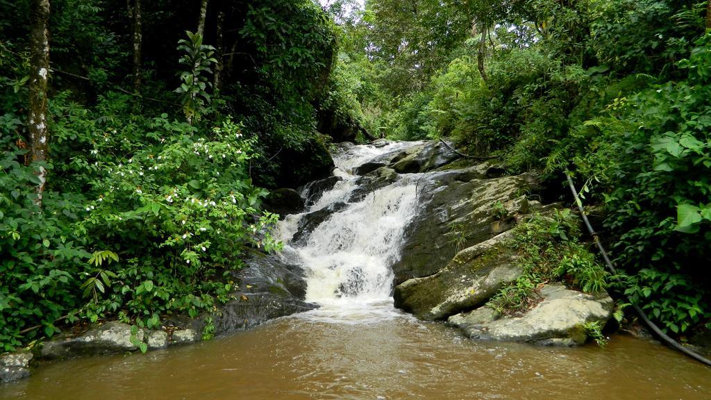 Deep Woods Resort Munnar Luaran gambar