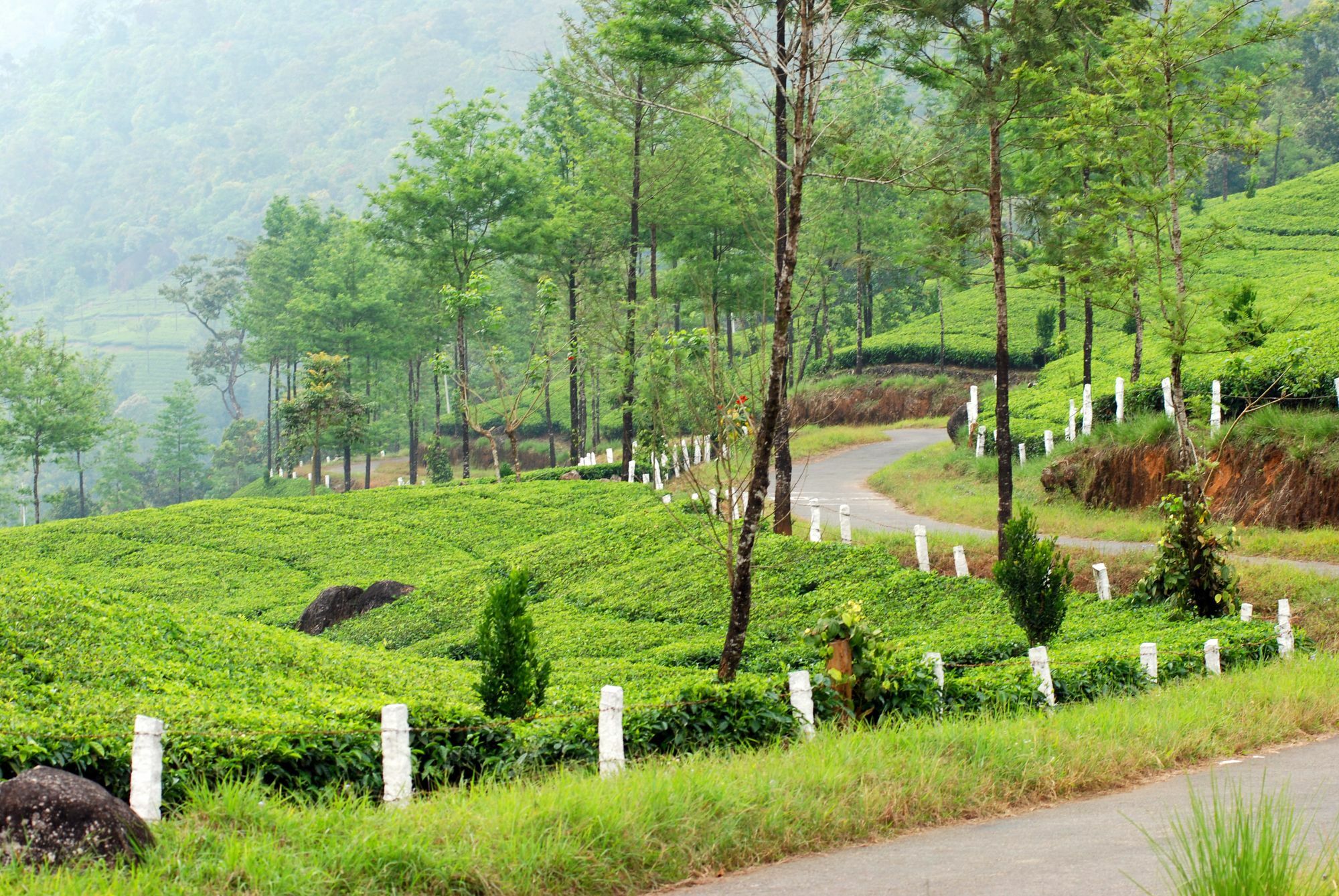 Deep Woods Resort Munnar Luaran gambar